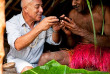 Vanuatu - Efate, Secret Garden © Vanuatu Tourism