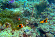 Vanuatu - Espiritu Santo - Barrier Beach Resort - Plage