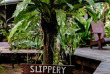 Vanuatu - Espiritu Santo - Barrier Beach Resort © Niva Studios