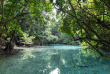 Vanuatu - Espiritu Santo - Best of Santo, option canoë © Shutterstock, Fredy Thuerig