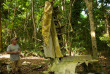 Vanuatu - Espiritu Santo - Histoire de la Seconde Guerre Mondiale © Vanuatu Tourism Office, South Pacific WWII Museum, Karl Von Moller
