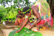 Vanuatu - Tanna, village coutumier © Vanuatu Tourism, C. Chester