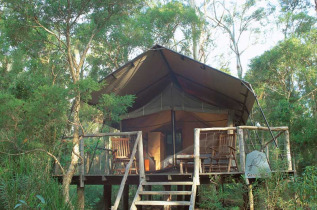 Australie - Jervis Bay - Paperbark Camp - Tente Originale © Mike Gebicki