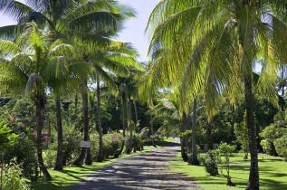 Fidji - Nadi - Novotel Nadi Hotel © Fabrice Rambert