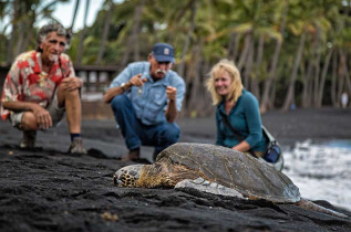 Hawaii - Big Island - Nature et culture dans le Volcanoes National Park