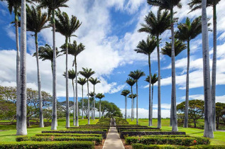 Hawaii - Hawaii Big Island - Kohala Coast - The Westin Hapuna Beach Resort