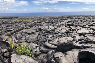 Hawaii - Hawai Big Island - Volcano National Park ©Pacifique à la Carte