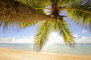 Iles Cook - Aitutaki - Tamanu Beach