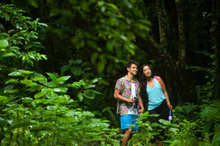 Iles Cook - Atiu - Tour à la découverte de la nature d'Atiu - © Cook Islands Tourism, David Kirkland