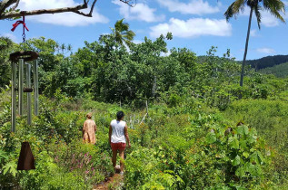 Iles Cook - Mangaia - Tour de l'île de Mangaia