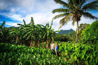 Iles Cook - Rarotonga - Randonnée nature avec Tumutoa © David Kirkland