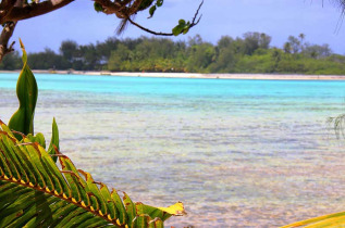 Iles Cook - Rarotonga - Nautilus Resort Rarotonga