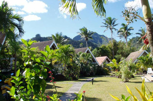 Iles Cook - Rarotonga - Palm Grove - Garden Studio