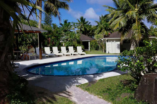 Iles Cook - Rarotonga - Palm Grove