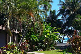 Iles Cook - Rarotonga - The Black Pearl Beach Side Apartments