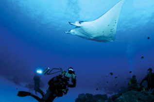 Micronésie - Palau - Ocean Hunter 3 - Fish'n Fins © W Thiele