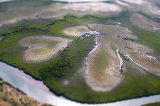 Nouvelle-Calédonie - Coeur de Voh © Tourisme Province Nord, Jérome Emeriaud