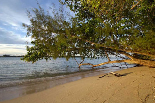 Papouasie-Nouvelle-Guinée - Lissenung Island Resort