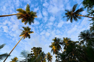 Papouasie-Nouvelle-Guinée - Lissenung Island Resort © David Benz