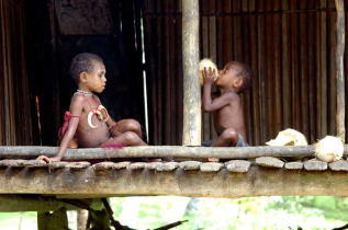 Papouasie-Nouvelle-Guinée - Madang © Trans Niugini Tours