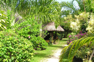 Polynésie - Bora Bora - Village Temanuata Beach