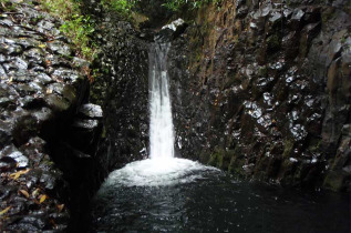 Polynésie française - Tahiti - Randonnée dans la vallée de la Fautaua, côte Est