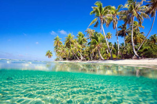 Polynésie française - Tikehau - Journée découverte dans l’atoll de Tikehau © Shutterstock, BlueOrange Studio