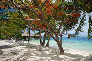 Polynésie française - Bora Bora - Maitai Polynesia Bora Bora