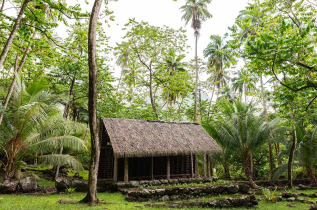 Polynésie Française - Îles Marquises - Nuku Hiva - Vallée de Hatiheu