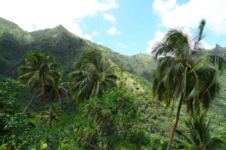 Polynésie Française - Îles Marquises - Nuku Hiva - Sortie Anaho