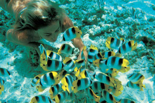 Tour du monde - Polynésie française - Plongée sous-marine © Tahiti Tourisme