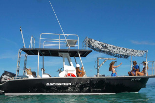 Polynésie française - Tahiti - Nagez avec les baleines avec Eleuthera
