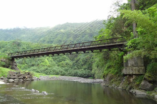 Polynésie française - Tahiti - Safari 4x4 au cœur de Tahiti