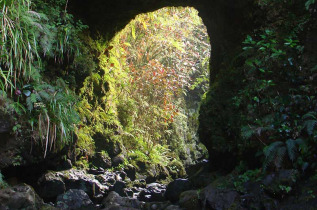 Polynésie française - Tahiti - Randonnée Exploration des lavatubes