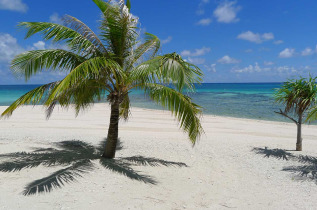 Polynésie française - Tikehau - Tikehau Paradise