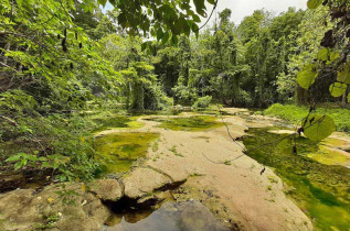 Vanuatu - Efate - Cascades de Rarru © Eric Elbourne