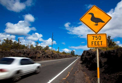 Hawaii - Hawai Big Island ©Hawaii Tourism, Tor Johnson