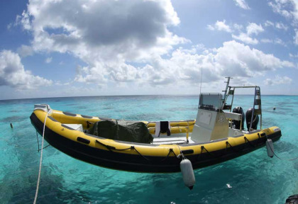 Polynésie - Tuamotu - Fakarava - Dive Spirit