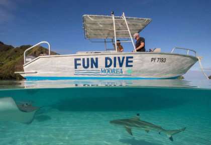 Polynésie - Moorea - Moorea Fun Dive © Renée Capozzola