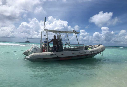 Polynésie - Tikehau - Raie Manta Diving Tikehau