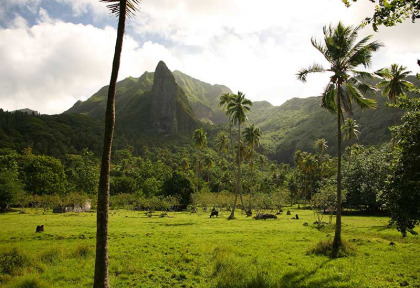 Polynésie - Croisière dans l'archipel de la Société - Raiatea © Tahiti Tourisme