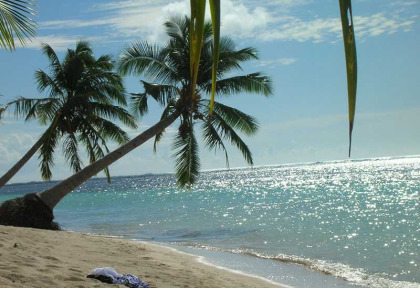 Samoa - Savai'i - Tanu Beach Fales