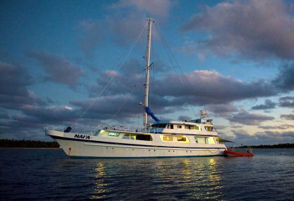 Tonga - Croisière Naia