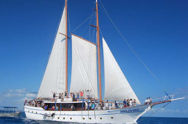 Fidji - Nadi - Croisière à bord du Whale’s Tale