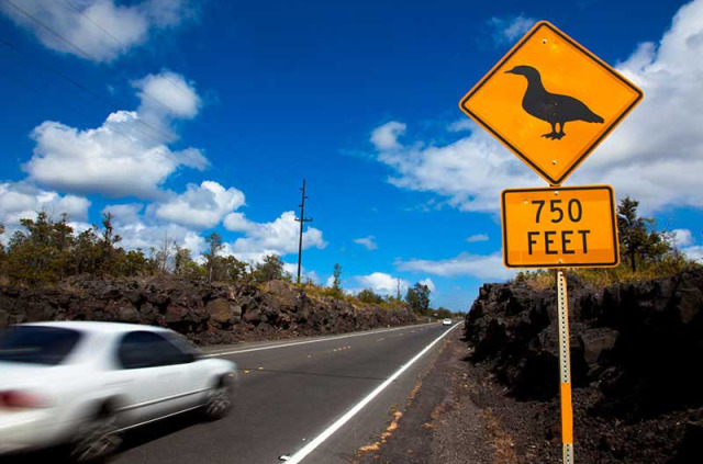 Hawaii - Hawai Big Island ©Hawaii Tourism, Tor Johnson