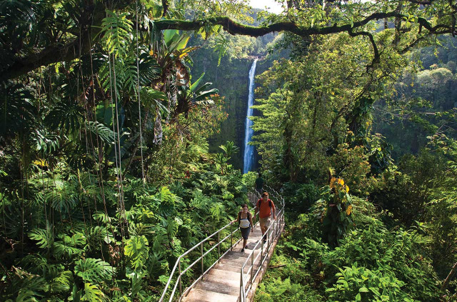 Hawaii - Big Island - Journée dans le Parc national des volcans d’Hawaii