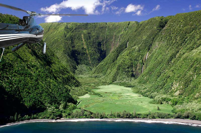 Hawaii - Big Island - Survol en hélicoptère de la côte d'Hamakua : 45 minutes