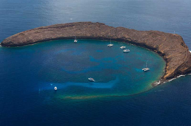 Hawaii - Maui - Croisière snorkeling à Molokini © Hawaii Tourism Authority, Tor Johnson