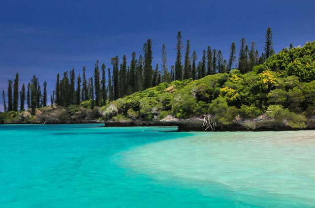 Nouvelle-Calédonie - Ile des Pins - Wadaou © Laurent Brizard