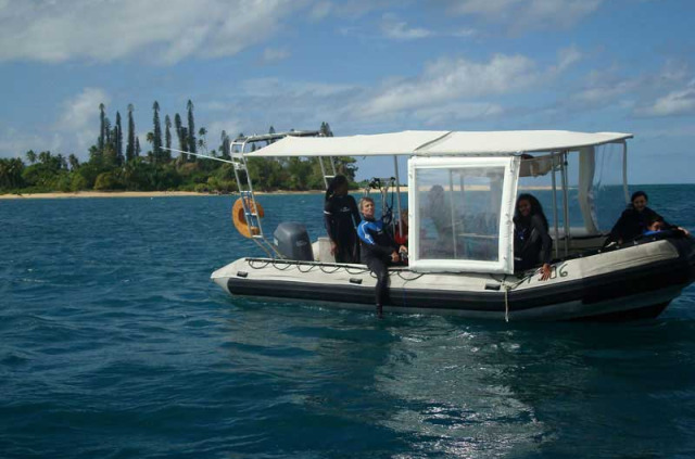 Nouvelle-Calédonie - Grande Terre - Poindimie - Tiéti Diving